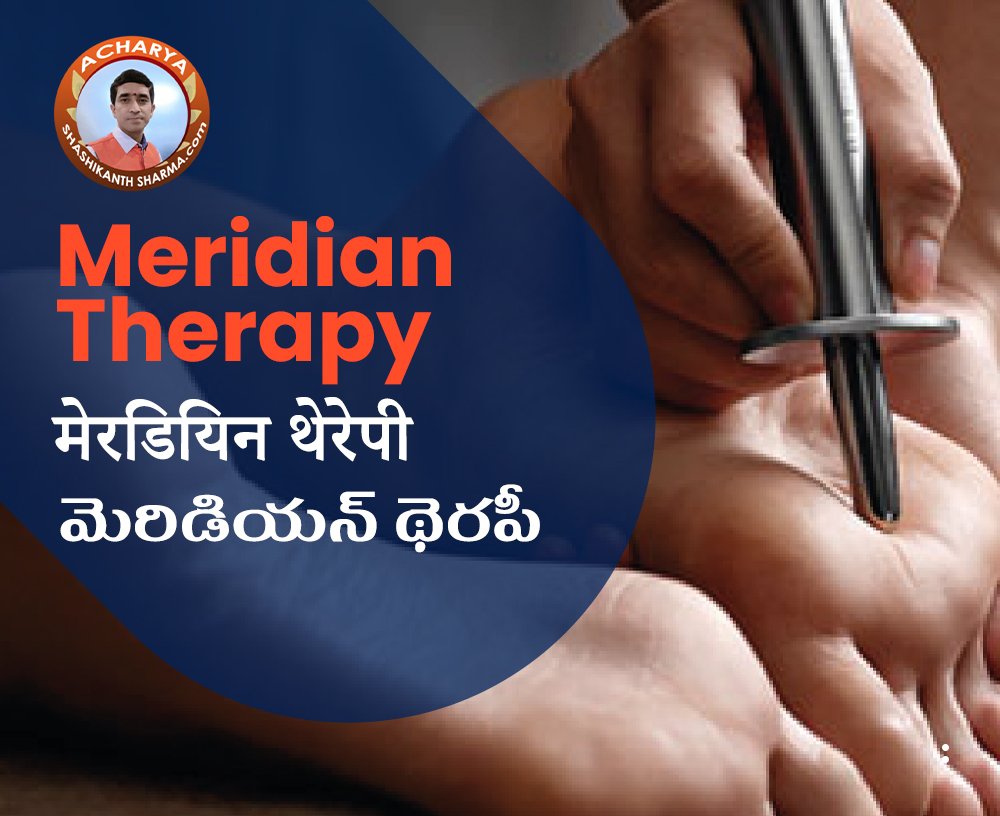 Meridian Treatment Website