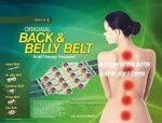 Percare Back Belt